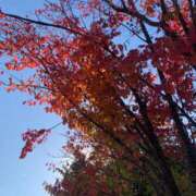 ヒメ日記 2025/11/19 20:56 投稿 美由紀 人妻・若妻デリヘル レディプレイス