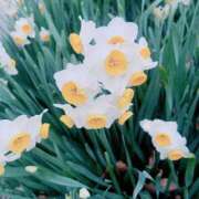 ヒメ日記 2026/02/06 21:29 投稿 美由紀 人妻・若妻デリヘル レディプレイス