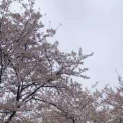 ヒメ日記 2026/04/10 18:52 投稿 美由紀 人妻・若妻デリヘル レディプレイス