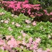 ヒメ日記 2026/04/28 20:16 投稿 美由紀 人妻・若妻デリヘル レディプレイス