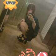 ヒメ日記 2025/06/29 10:17 投稿 うた 和楽(わらく)