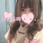 ヒメ日記 2026/01/24 10:26 投稿 うた 和楽(わらく)