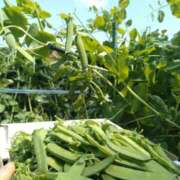 ヒメ日記 2025/05/16 16:21 投稿 ふみ 渋谷蘭の会