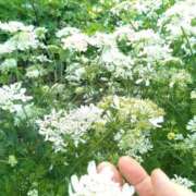 ヒメ日記 2025/06/08 22:51 投稿 ふみ 渋谷蘭の会