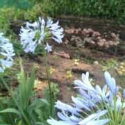 ふみ 1日お疲れ様です☺️🌆🌃 渋谷蘭の会