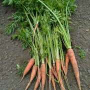 ふみ 道に落ちているもの💫👮👛👒 渋谷蘭の会