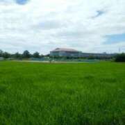 ふみ 地域での目撃情報😌🔍️🌳 渋谷蘭の会