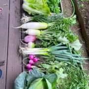 ヒメ日記 2026/01/16 16:25 投稿 ふみ 渋谷蘭の会