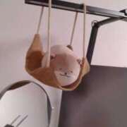 ヒメ日記 2026/01/30 00:06 投稿 ふみ 渋谷蘭の会