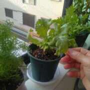 ヒメ日記 2026/02/06 09:25 投稿 ふみ 渋谷蘭の会