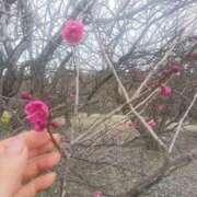 ヒメ日記 2026/02/19 12:35 投稿 ふみ 渋谷蘭の会