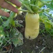 ヒメ日記 2026/02/23 17:30 投稿 ふみ 渋谷蘭の会