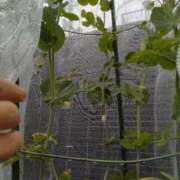 ヒメ日記 2026/02/25 11:35 投稿 ふみ 渋谷蘭の会