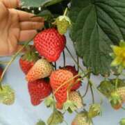 ヒメ日記 2026/02/28 18:35 投稿 ふみ 渋谷蘭の会