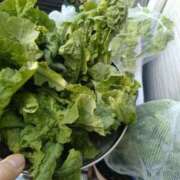 ヒメ日記 2026/03/05 08:55 投稿 ふみ 渋谷蘭の会