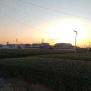 ヒメ日記 2026/03/08 00:35 投稿 ふみ 渋谷蘭の会