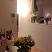 ヒメ日記 2026/03/27 00:09 投稿 ふみ 渋谷蘭の会