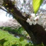ふみ ポカポカ陽気ですね☺️🌸✨️ 渋谷蘭の会