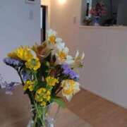 ふみ 晴れてきましたね😄🌁🌸✨️ 渋谷蘭の会