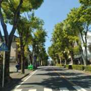 ヒメ日記 2026/04/20 16:14 投稿 ふみ 渋谷蘭の会