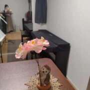 ヒメ日記 2026/04/20 23:05 投稿 ふみ 渋谷蘭の会