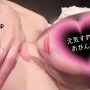 ヒメ日記 2025/01/31 11:27 投稿 るな BAD COMPANY（バッドカンパニー）