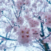 ヒメ日記 2025/03/29 15:38 投稿 るな BAD COMPANY（バッドカンパニー）