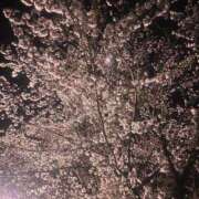 ヒメ日記 2025/04/08 12:45 投稿 るな BAD COMPANY（バッドカンパニー）