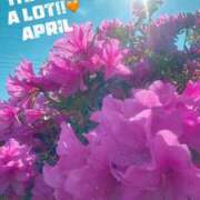 ヒメ日記 2025/04/30 12:45 投稿 るな BAD COMPANY（バッドカンパニー）