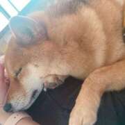 ヒメ日記 2025/05/04 15:40 投稿 るな BAD COMPANY（バッドカンパニー）