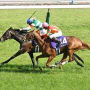 ヒメ日記 2025/05/04 22:28 投稿 るな BAD COMPANY（バッドカンパニー）