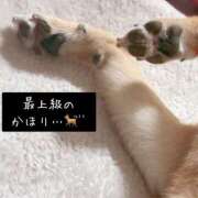 ヒメ日記 2025/05/17 21:23 投稿 るな BAD COMPANY（バッドカンパニー）