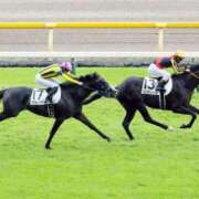 ヒメ日記 2025/06/01 21:25 投稿 るな BAD COMPANY（バッドカンパニー）