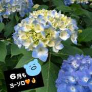 ヒメ日記 2025/06/02 20:09 投稿 るな BAD COMPANY（バッドカンパニー）