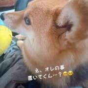 ヒメ日記 2025/06/03 12:04 投稿 るな BAD COMPANY（バッドカンパニー）