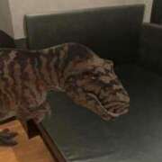 ヒメ日記 2025/08/20 16:51 投稿 るな BAD COMPANY（バッドカンパニー）