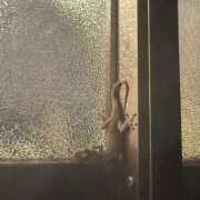 ヒメ日記 2025/09/25 20:15 投稿 るな BAD COMPANY（バッドカンパニー）