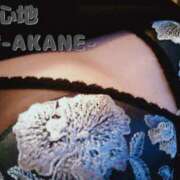 ヒメ日記 2024/12/17 20:29 投稿 あかね 夢心地