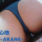 ヒメ日記 2024/12/19 20:39 投稿 あかね 夢心地