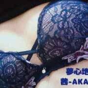 ヒメ日記 2024/12/22 18:08 投稿 あかね 夢心地