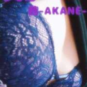 ヒメ日記 2025/01/06 01:03 投稿 あかね 夢心地