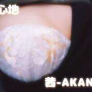 ヒメ日記 2025/03/07 21:38 投稿 あかね 夢心地