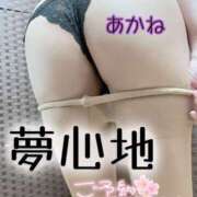 ヒメ日記 2025/03/23 17:15 投稿 あかね 夢心地