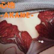 ヒメ日記 2025/03/25 20:24 投稿 あかね 夢心地