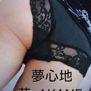 ヒメ日記 2025/03/26 20:20 投稿 あかね 夢心地