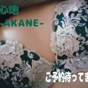 ヒメ日記 2025/03/28 23:50 投稿 あかね 夢心地