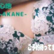 ヒメ日記 2025/04/02 20:38 投稿 あかね 夢心地