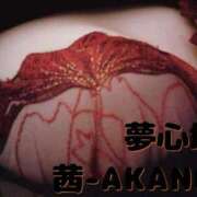 ヒメ日記 2025/04/16 20:37 投稿 あかね 夢心地