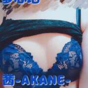 ヒメ日記 2025/04/19 18:13 投稿 あかね 夢心地