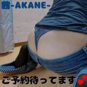 ヒメ日記 2025/04/20 20:30 投稿 あかね 夢心地